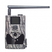 Фотоловушка Boly Guard BG584 (24MP, запись видео 1080 пикселей HD, днем цветное,ночью черно-белое видео, ИК-подсветка невидимая, 1.44" дисплей, отправка MMS/E-mail,облако Molnus, 4G/LTE,запись звука, 8xAA или 4xAA)