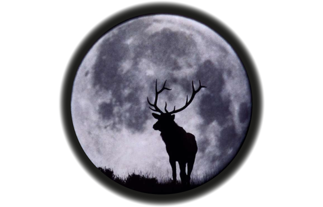 Как выбрать прицел ночного видения: 15 советов