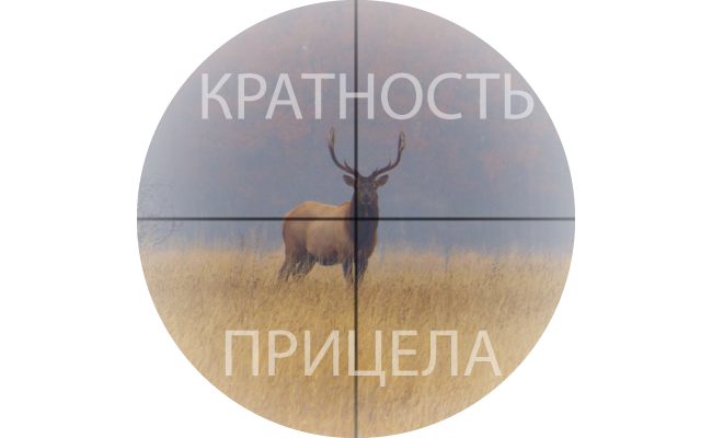 Как выбрать кратность прицела