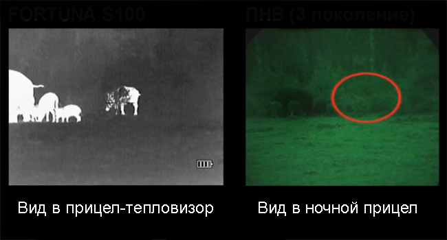 Тепловизионные и ночные прицелы - в чем разница