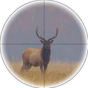 Средняя кратность