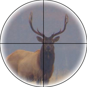 Высокая кратность