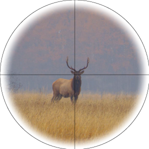 Малая кратность