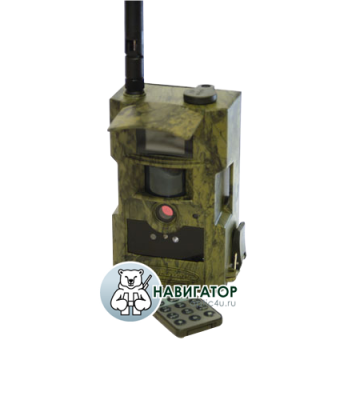 Фотоловушка ScoutGuard MG882K-12MHD — интернет-магазин «Комбат»