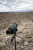 Зрительная труба Sightmark Solitude 20-60x60 SE (SM11031K) — интернет-магазин «Комбат»