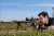 Фото  Оптический прицел NIGHTFORCE ATACR™ 5-25×56 SFP Zerostop™ .25 MOA DigIllum™ PTL MOAR™ (C553)