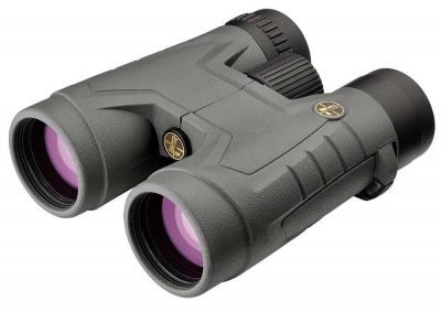 Бинокль Leupold BX-2 Acadia 10x42 Roof Shadow Gray (172700) — интернет-магазин «Комбат»