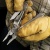 Multi-tool Leatherman Super Tool® 300 — интернет-магазин «Комбат»